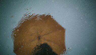 San Diego prepares for more rain early Monday – NBC 7 San Diego