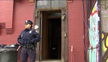 Grandson in custody for deadly stabbing of 85-year-old woman in Brooklyn – NBC New York