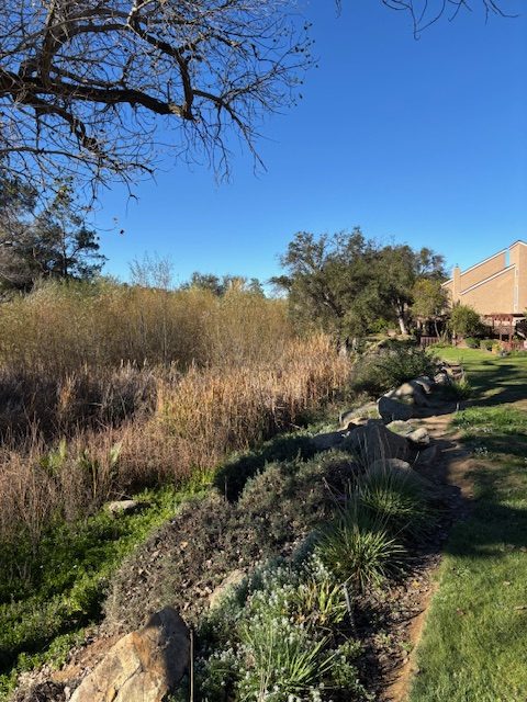 SDCE condos have insurance canceled; HOA board pays $900,000 to settle 2024 lawsuit – San Diego Union-Tribune