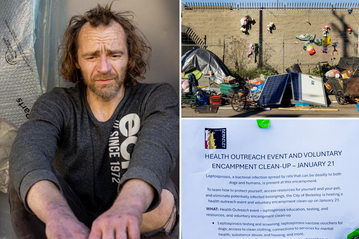 Deadly bacteria at a Bay Area homeless encampment sparks urgent calls for action