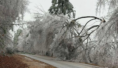 Photos: Icy trees pose hazard along Attala County Roads