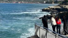 Visitors at La Jolla Cove watched high tide and sea lions on the beach below on January 5, 2026.