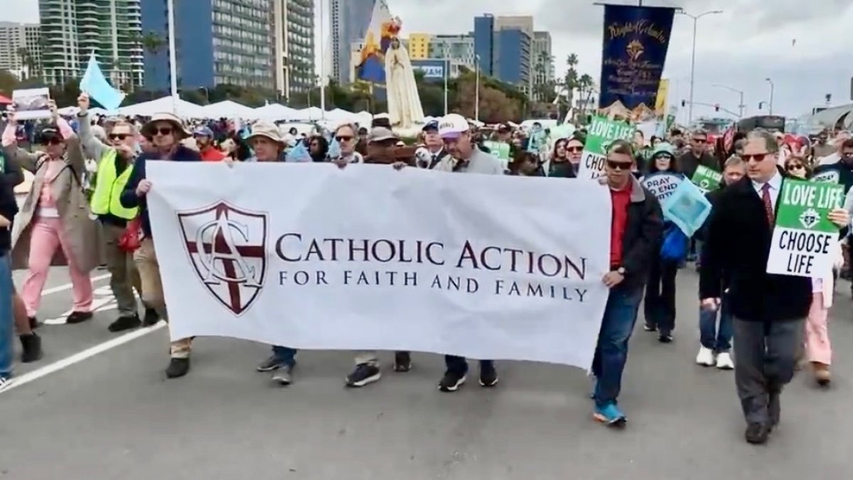 San Diego Walk for Life attracts 1,700 people – NBC 7 San Diego