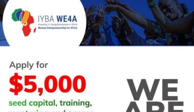 Calling all Applicants! Women Entrepreneurship for Africa (IYBA WE4A) Programme 2025–2026