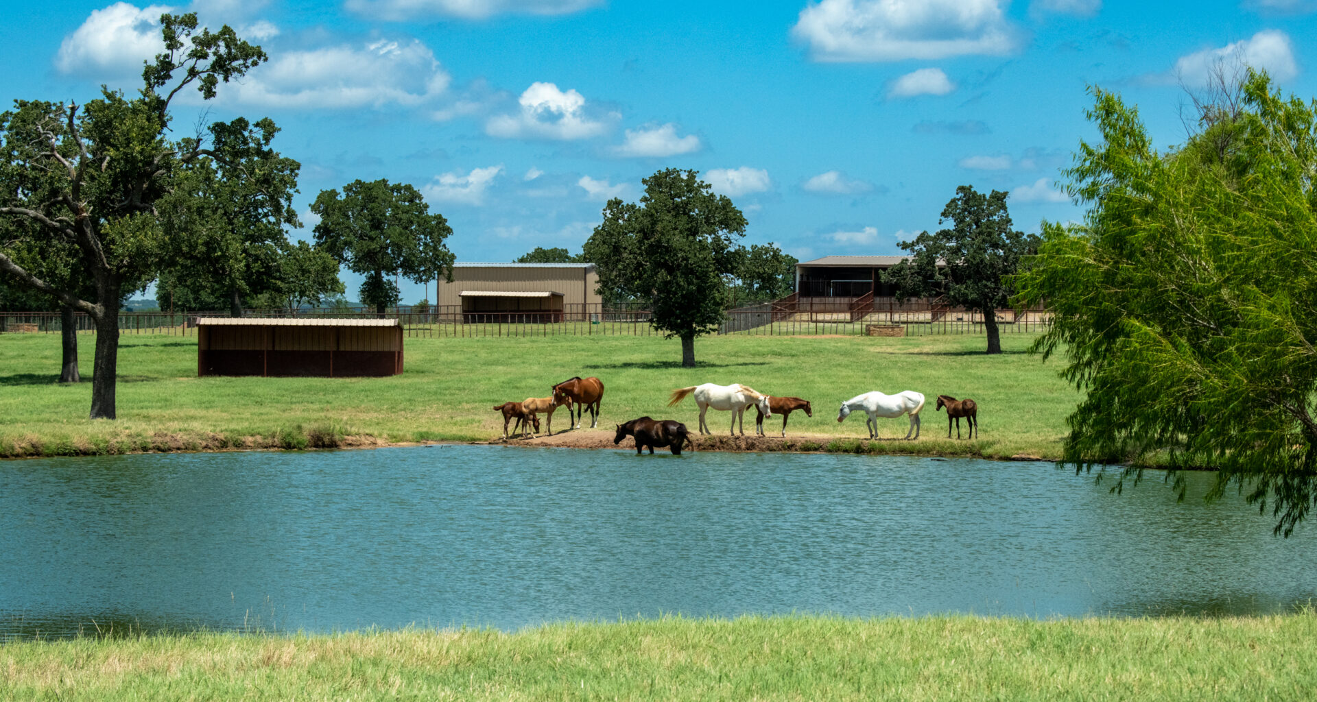 Bob on Business: ‘Yellowstone’ effect continues with ‘Landman’-like ranch deal