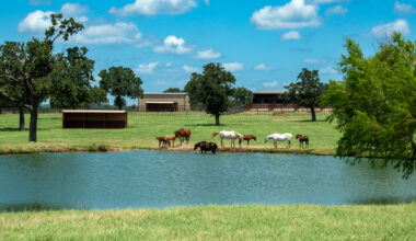 Bob on Business: ‘Yellowstone’ effect continues with ‘Landman’-like ranch deal