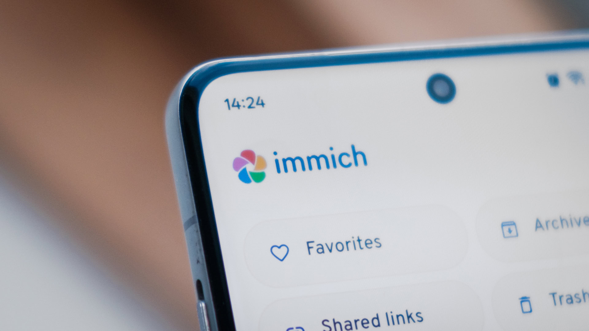 Immich app logo Immich app logo