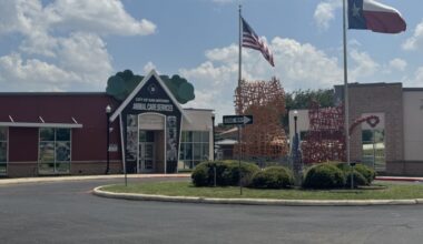 San Antonio Animal Care Services seeks foster homes for at least 100 dogs ahead of weekend freeze