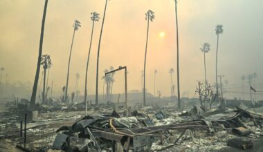 Finding the Courage to Rebuild