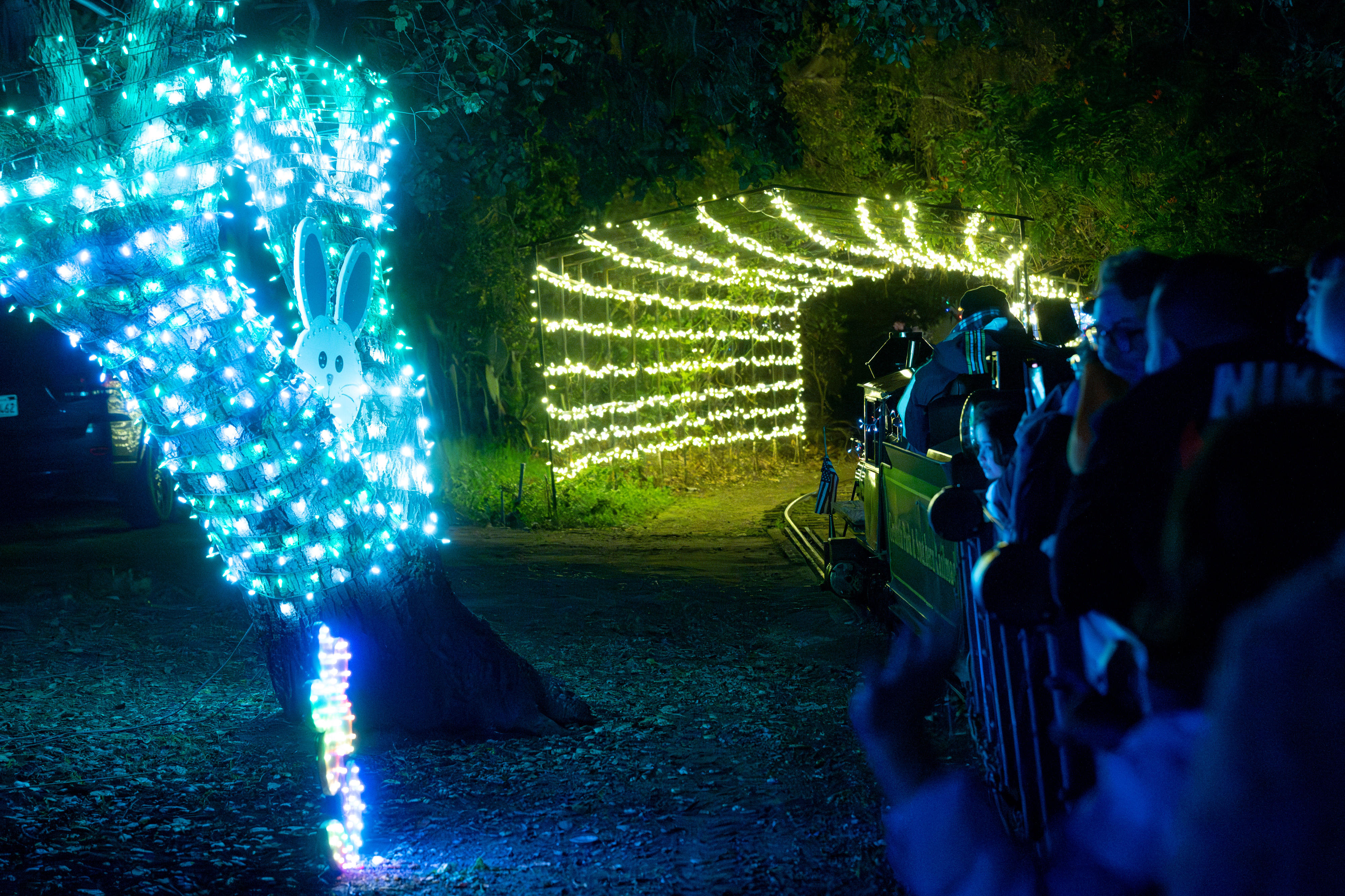 Passengers are surrounded by lights on a tour of holiday...