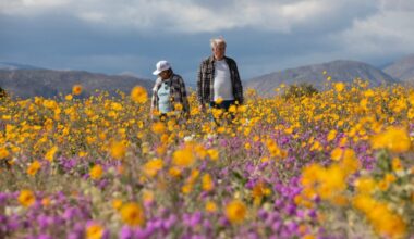 Heading to a state park Monday? You can get in for free – San Diego Union-Tribune