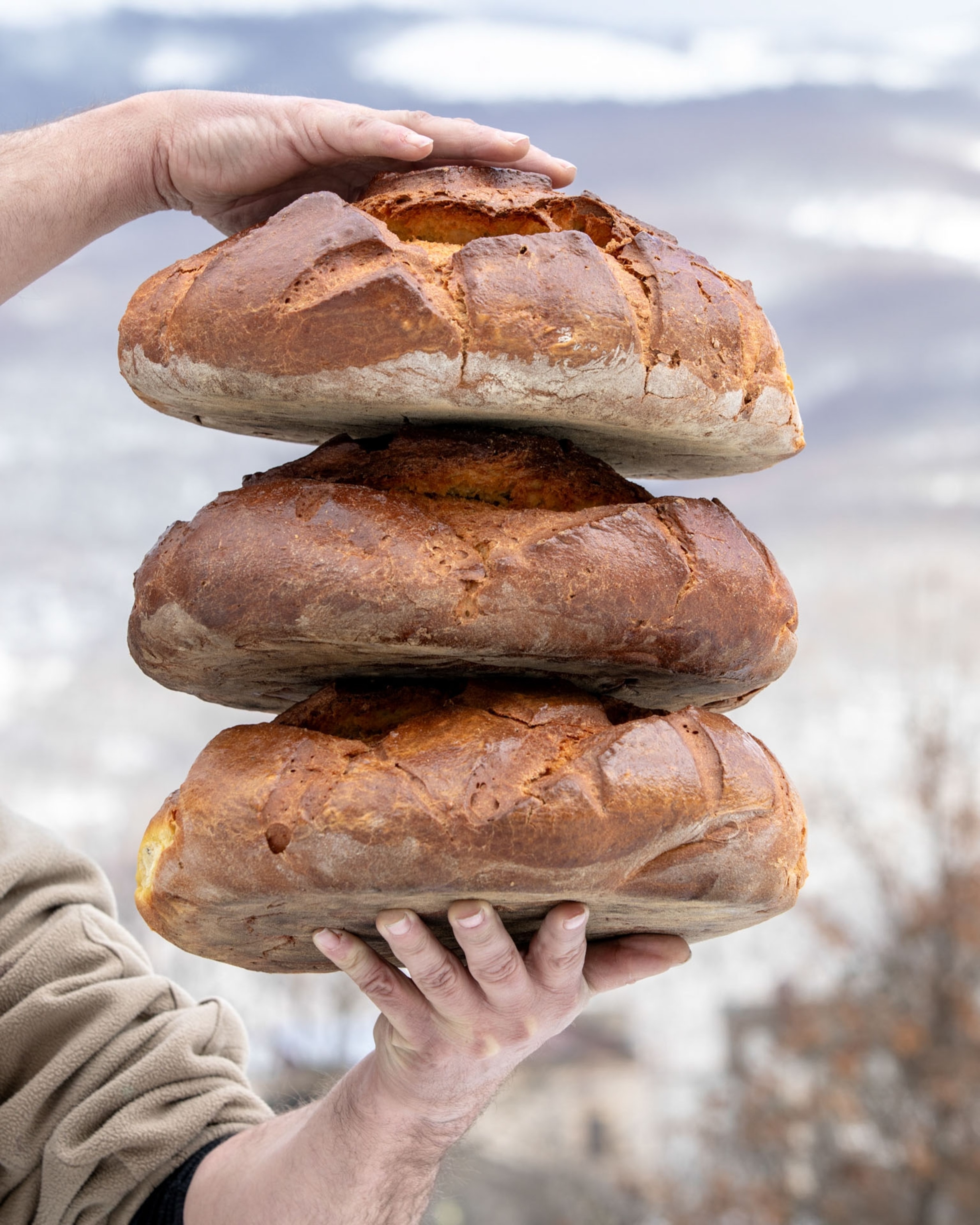 The typical bread, knowed as “Panetta” that is offered along with fava bean soup on the morning of January 17.