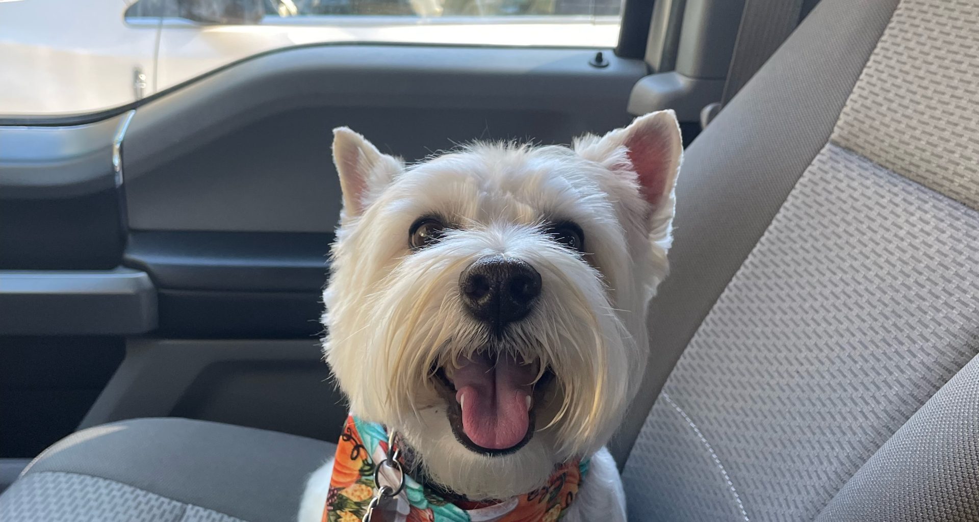 Meet Lucy: January BFF of the month, Mandarin