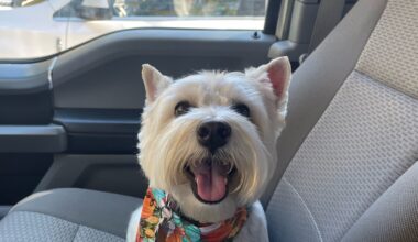 Meet Lucy: January BFF of the month, Mandarin