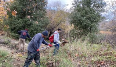 Volunteer at Mission Trails Regional Park