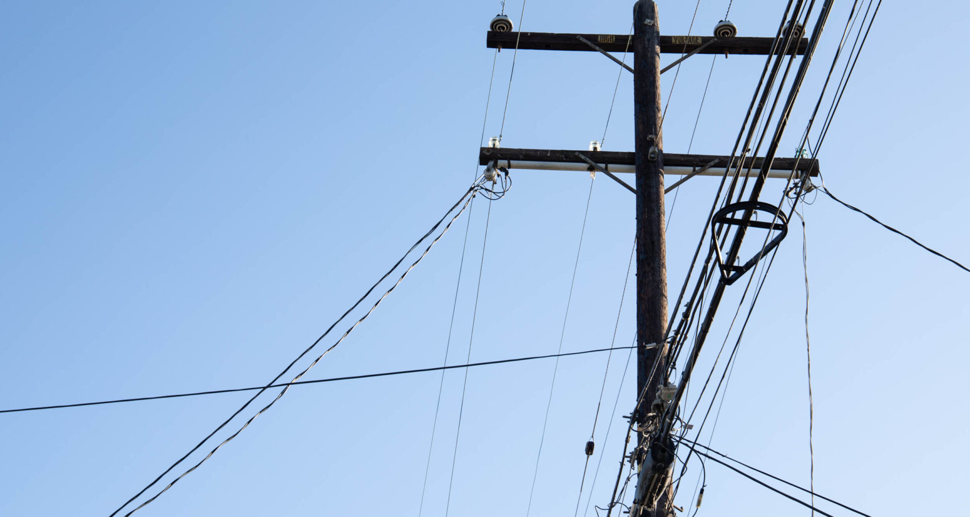 historic trees san diego Maggie McCann Kensignton