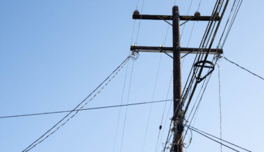 historic trees san diego Maggie McCann Kensignton