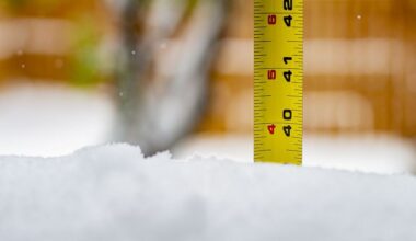 Philadelphia region southeastern PA, NJ snow totals for Jan. 25, 2026 storm