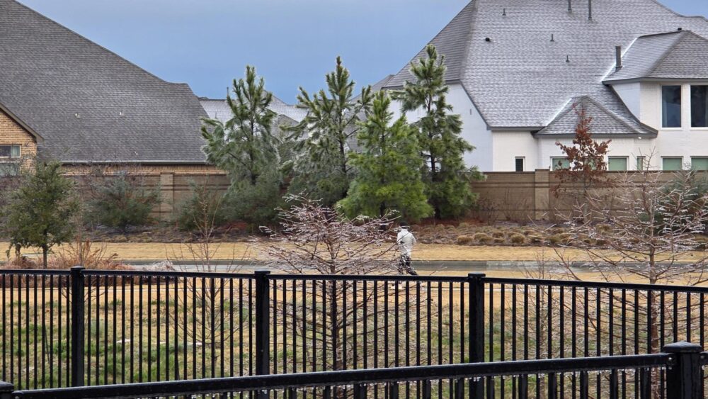 Icy Trees Jogger in Cypress
