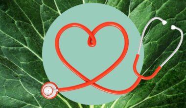 The 8 Most Nutrient-Dense Leafy Greens, Ranked by Dietitians