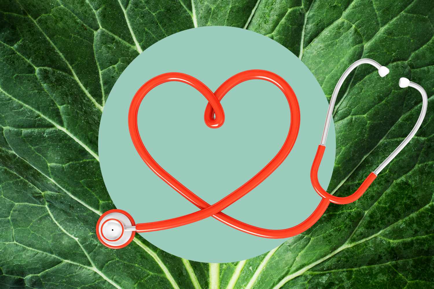 The 8 Most Nutrient-Dense Leafy Greens, Ranked by Dietitians
