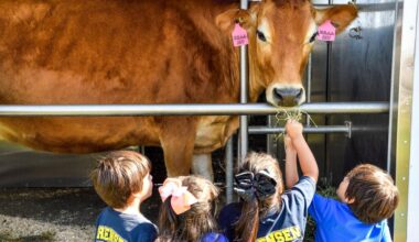 16 free fun things to do in February in Southern California – San Bernardino Sun