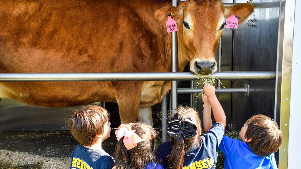 16 free fun things to do in February in Southern California – San Bernardino Sun