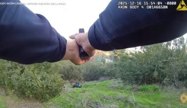 Video captures tense gunfire between police, felon in Balboa Park