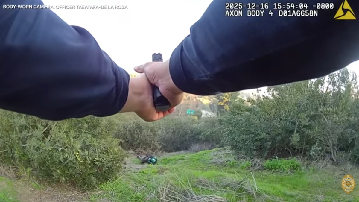 Video captures tense gunfire between police, felon in Balboa Park