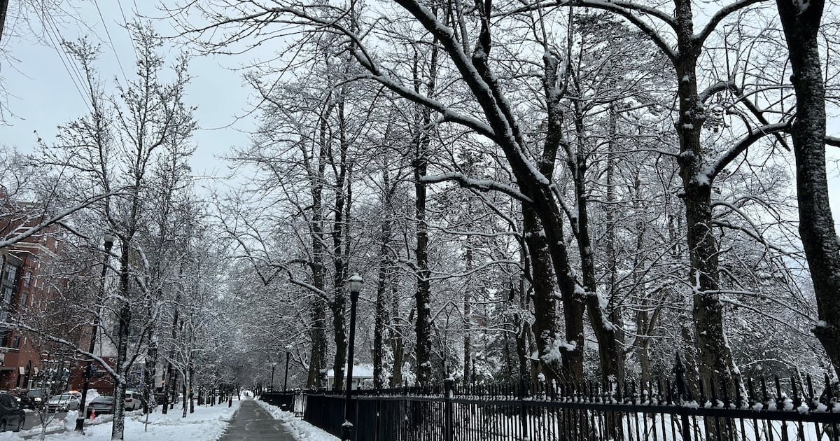 Is the third Monday of January truly the saddest day of the year? - CTV News