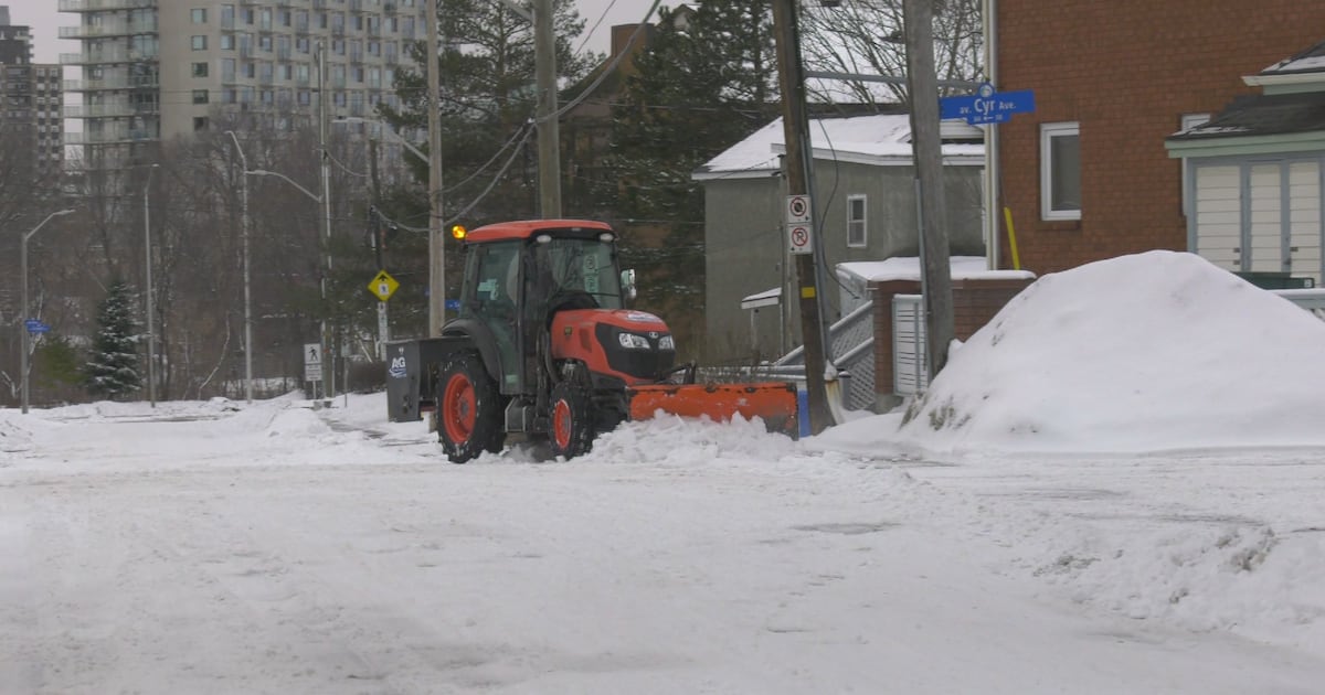 More snow expected in Ottawa on Monday - CTV News