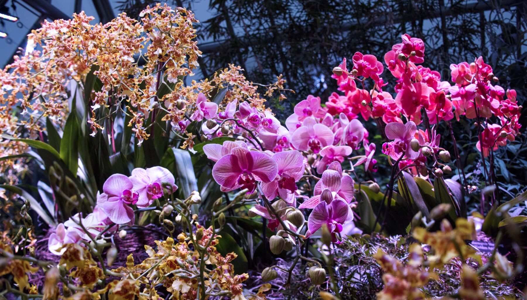 Top Things To Do In Chicago This Month | Events & Activities