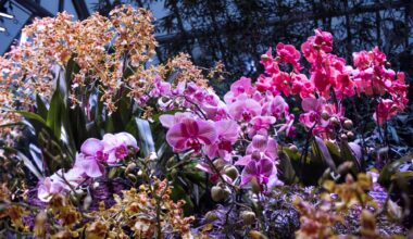 Top Things To Do In Chicago This Month | Events & Activities