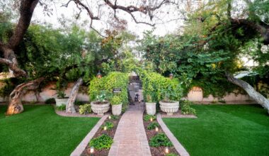 Chef Ivan Jacobo Reimagines Daytime Dining