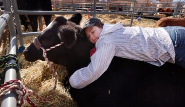 Fun things to do in Dallas-Fort Worth for the week of Jan. 23-29