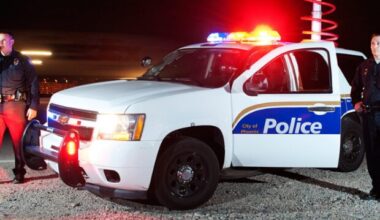 (Facebook Photo/Phoenix Police Department)...