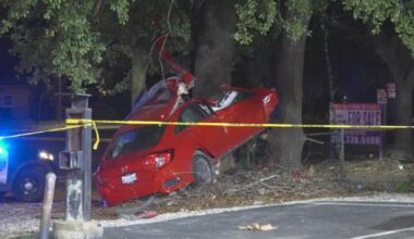 One dead after car crashes into tree in Northeast Houston