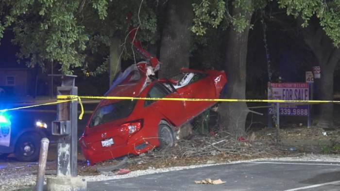 One dead after car crashes into tree in Northeast Houston