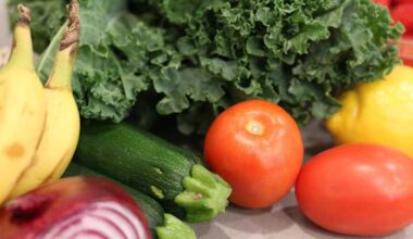 City of Jacksonville to launch ‘State of Food’ initiative, shaping the city’s food system