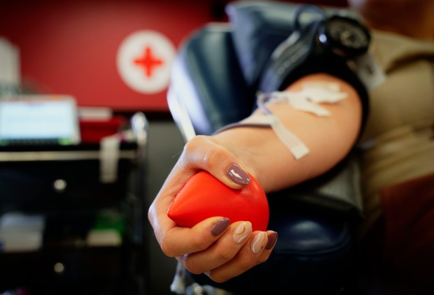 Ella Tarabini squezzes a foamy while giving blood at The San Diego Blood Bank on Tuesday, January 20, 2026 in Kearny Mesa. (Photo by Sandy Huffaker for The San Diego Union-Tribune)