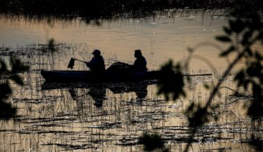 Volunteers kayak through San Diego River Estuary to pick up trash and protect endangered wildlife – San Diego Union-Tribune