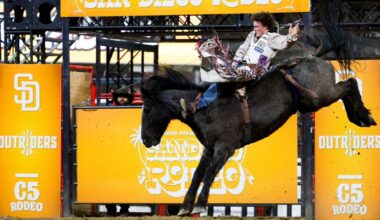 Judge adds protections for San Diego Rodeo animals at Petco