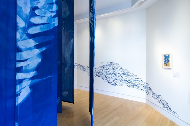 San Diegan Oriana Poindexter, a marine scientist and artist, has created a new installation, "The Blue Forest," that merges her passion for art and science. The exhibition is on display through October 2026 at the Catalina Museum for Art and History. (Catalina Museum for Art and History)