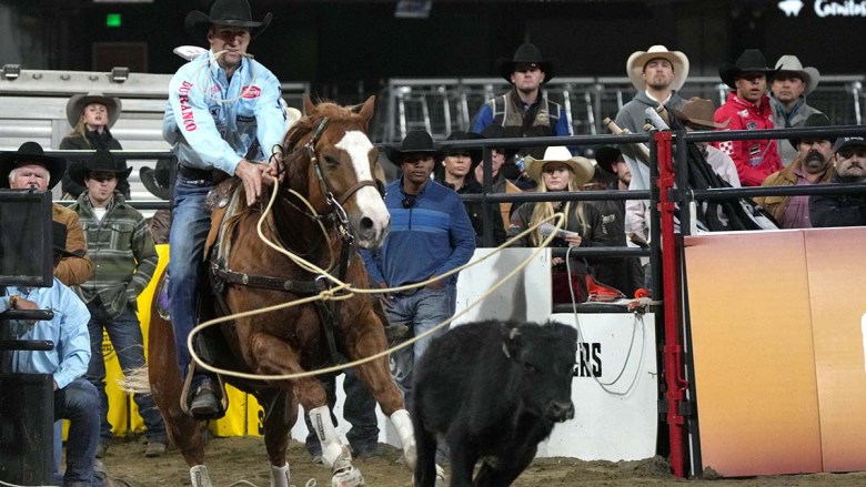 San Diego Rodeo (Photo by Chris Stone/Times of San Diego)