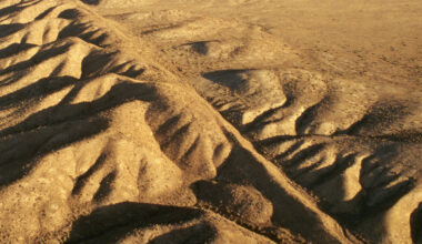 Hidden Faults Discovered at a Major US Earthquake Hotspot : ScienceAlert