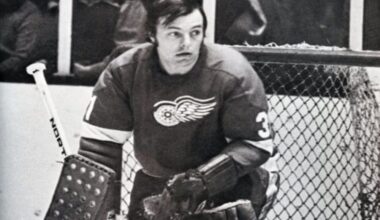 Andy Brown Red Wings