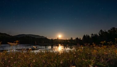 This Small New York Town Is a Surprising Stargazing Destination