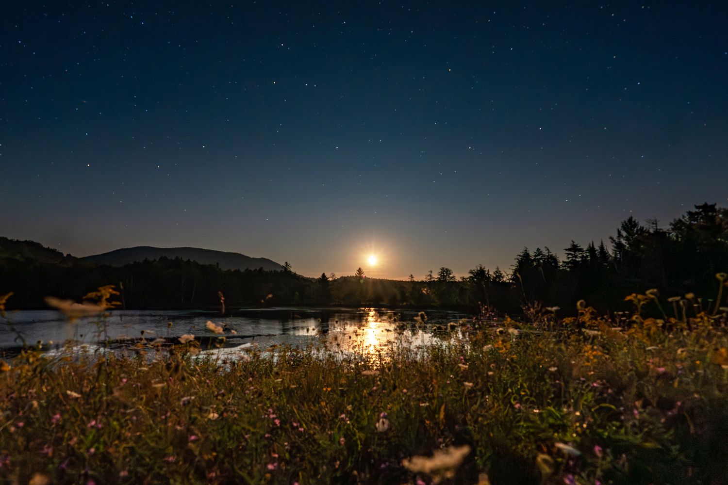This Small New York Town Is a Surprising Stargazing Destination