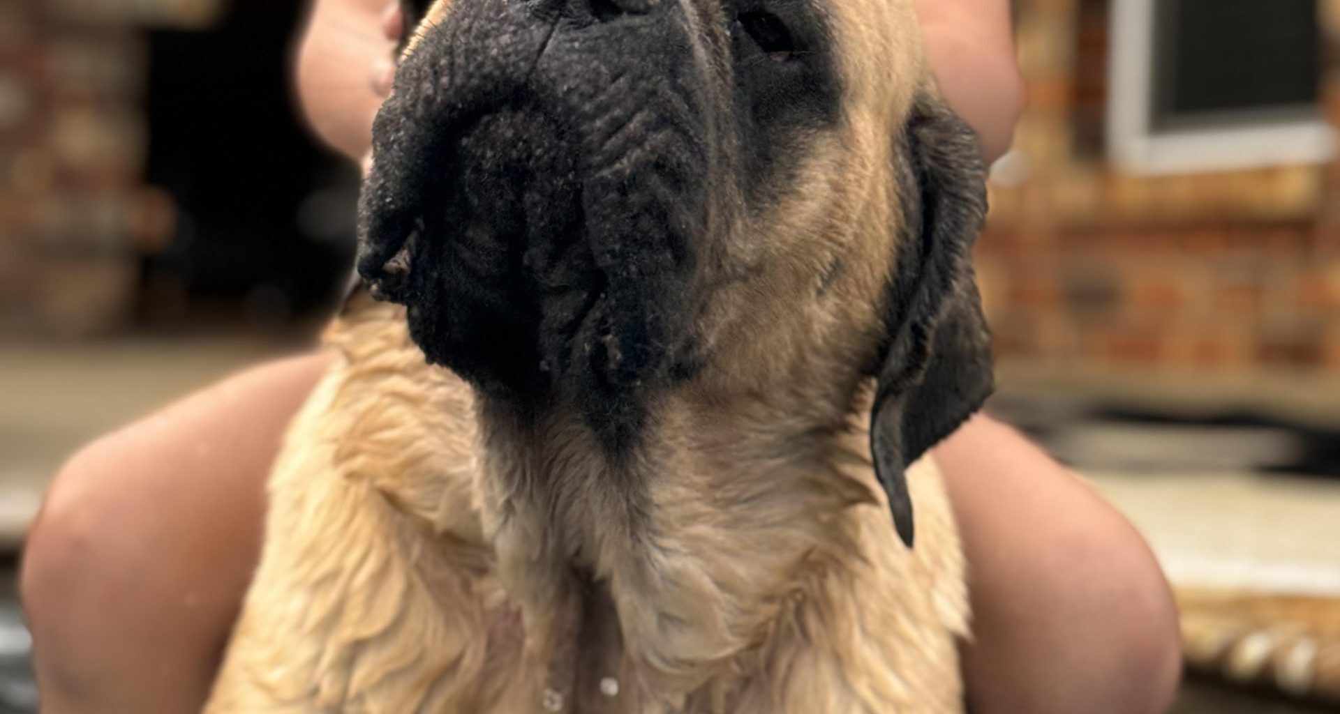 Meet Elsa: January BFF of the Month, CreekLine