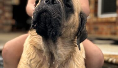 Meet Elsa: January BFF of the Month, CreekLine